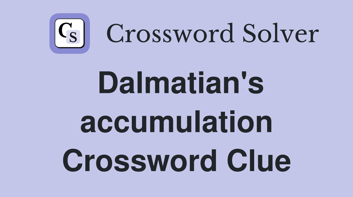Dalmatian's accumulation Crossword Clue