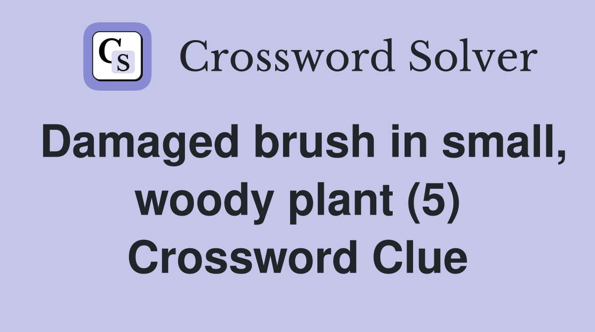 Damaged brush in small, woody plant (5) Crossword Clue