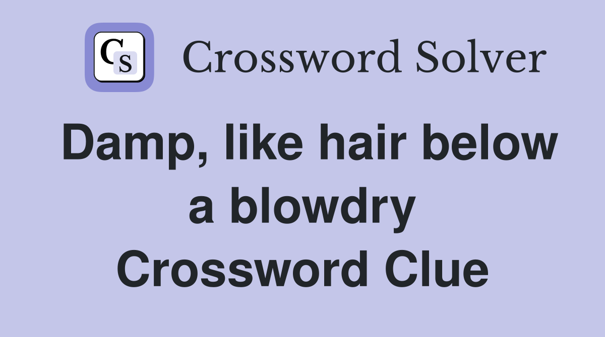 Damp, like hair below a blowdry Crossword Clue