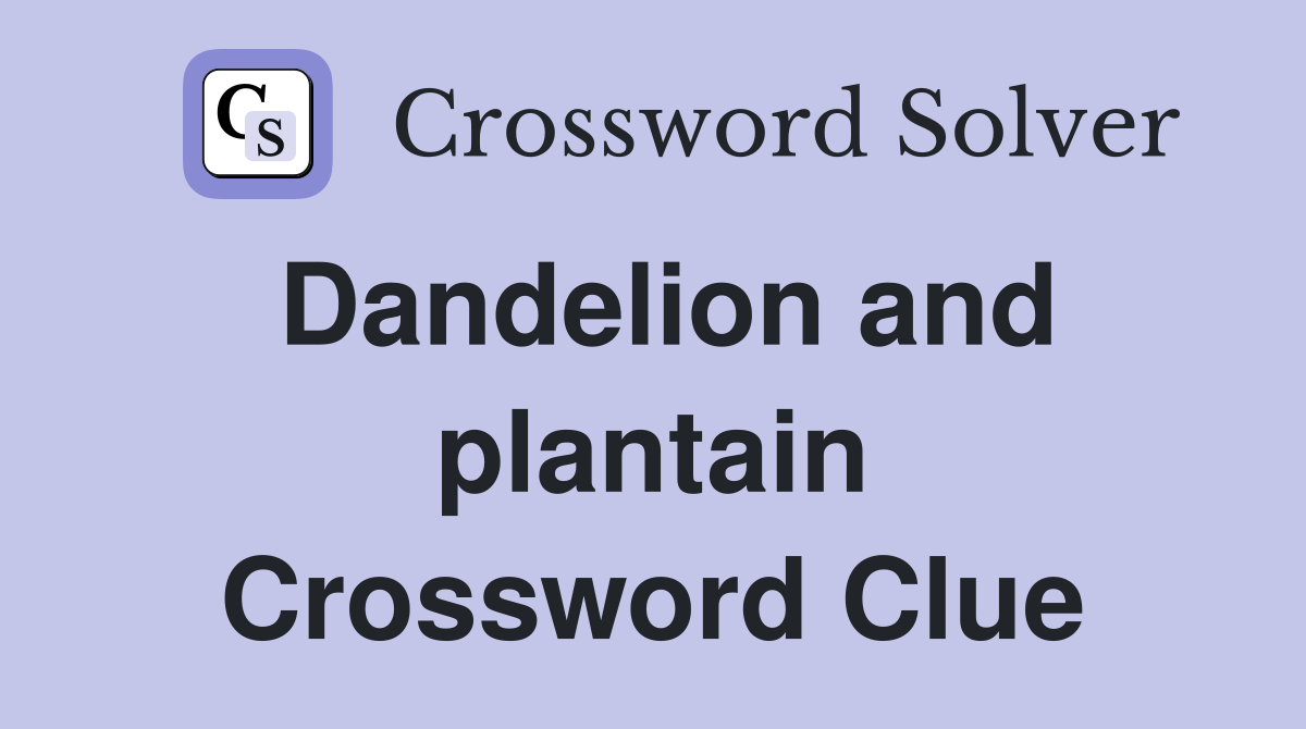 Dandelion and plantain Crossword Clue