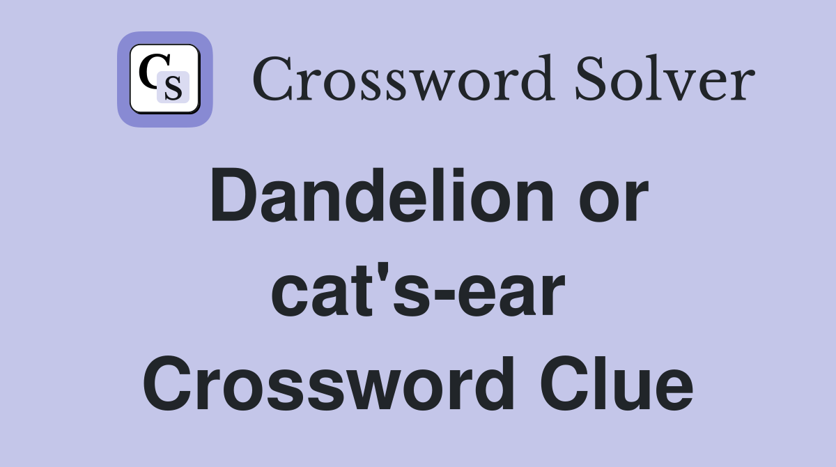 Dandelion or cat's-ear Crossword Clue