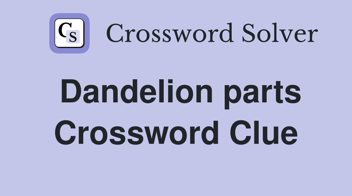 Dandelion parts Crossword Clue
