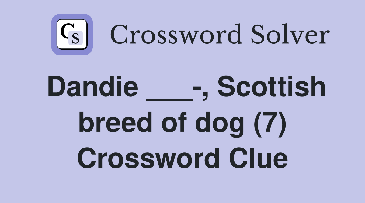 Dandie ___-, Scottish breed of dog (7) Crossword Clue