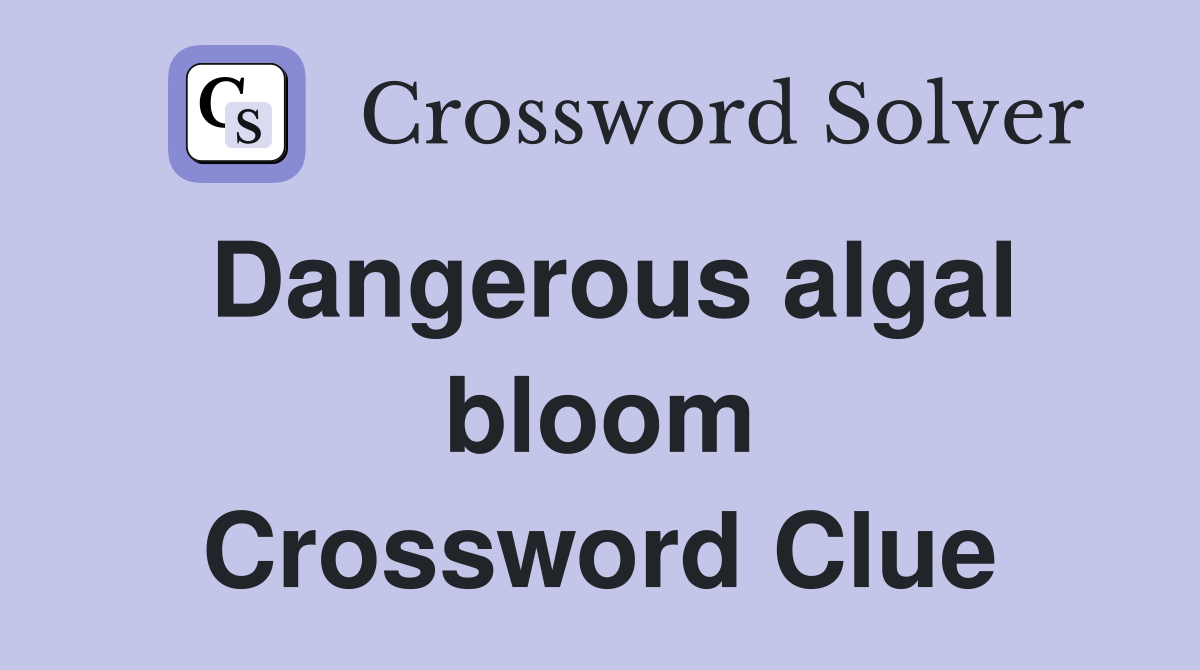 Dangerous algal bloom Crossword Clue