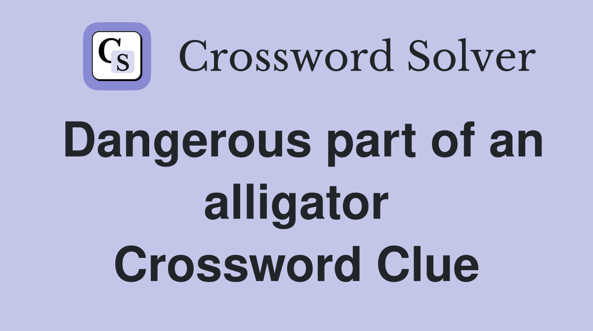 Dangerous part of an alligator Crossword Clue