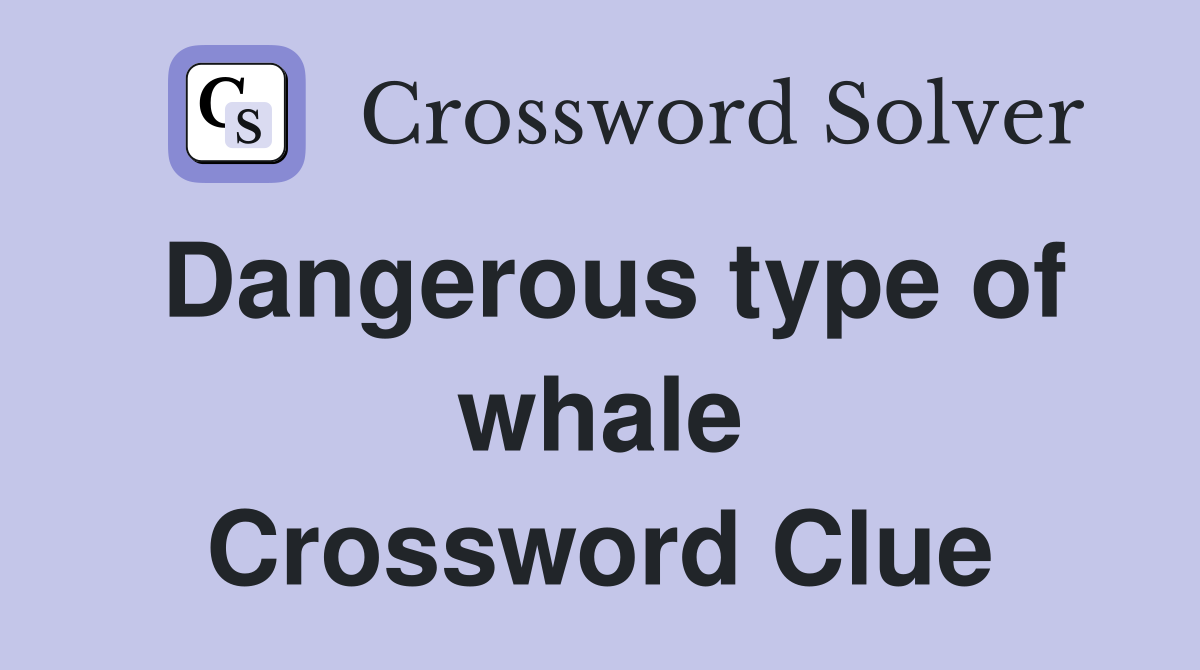 Dangerous type of whale Crossword Clue