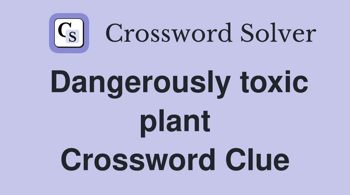 Dangerously toxic plant Crossword Clue