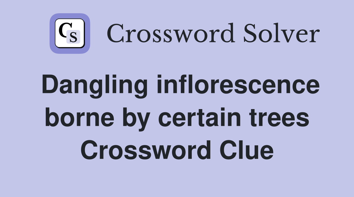 Dangling inflorescence borne by certain trees Crossword Clue
