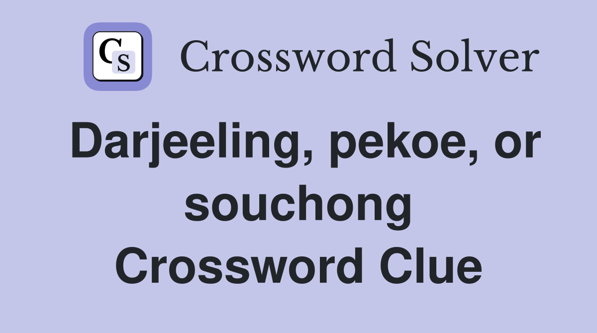 Darjeeling, pekoe, or souchong Crossword Clue