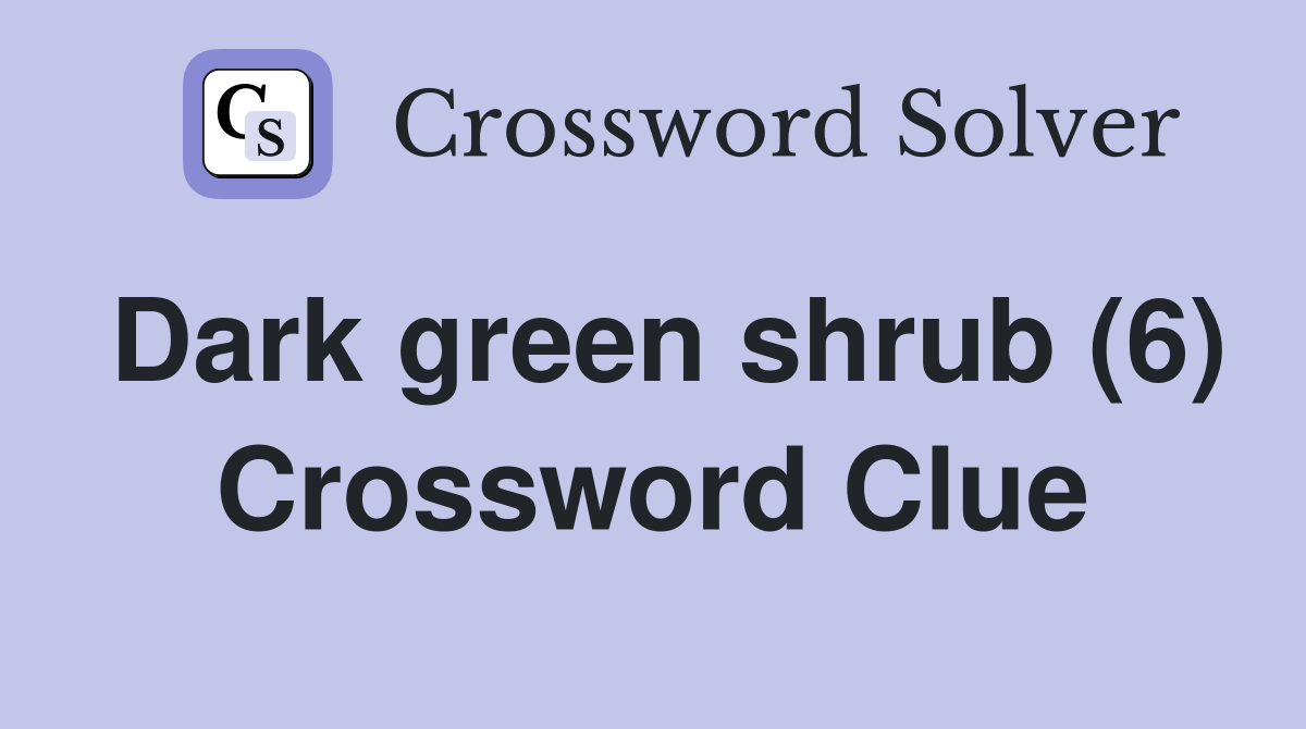 Dark green shrub (6) Crossword Clue