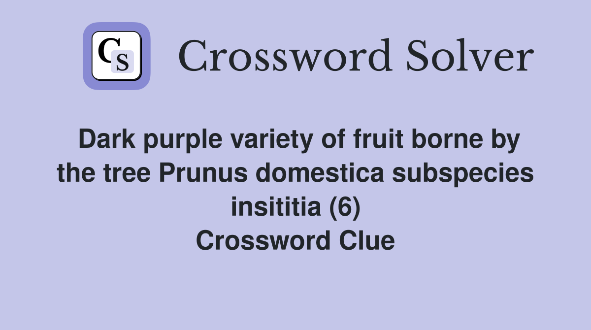 Dark purple variety of fruit borne by the tree Prunus domestica subspecies insititia (6) Crossword Clue