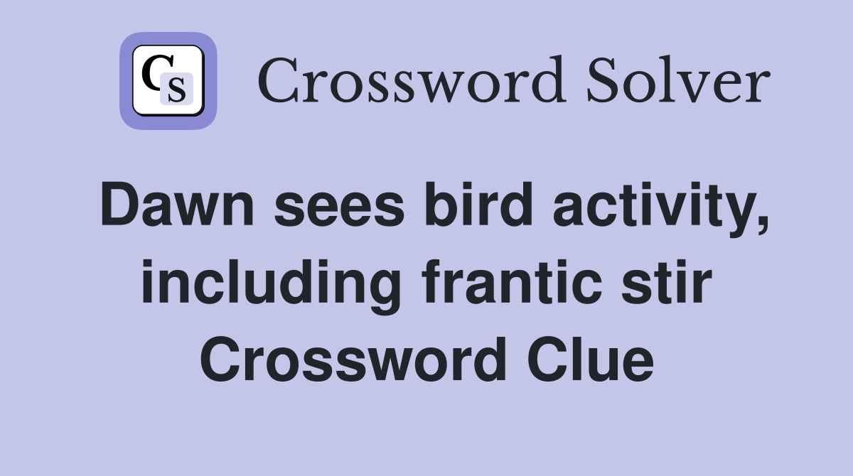 Dawn sees bird activity, including frantic stir Crossword Clue