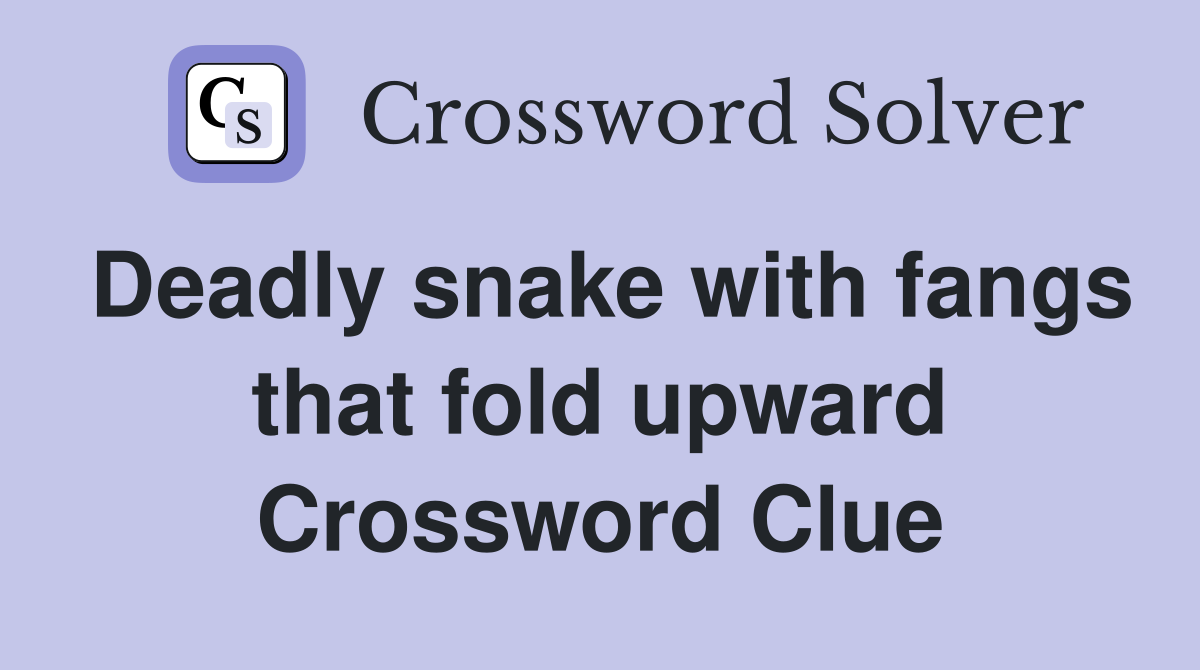 Deadly snake with fangs that fold upward Crossword Clue