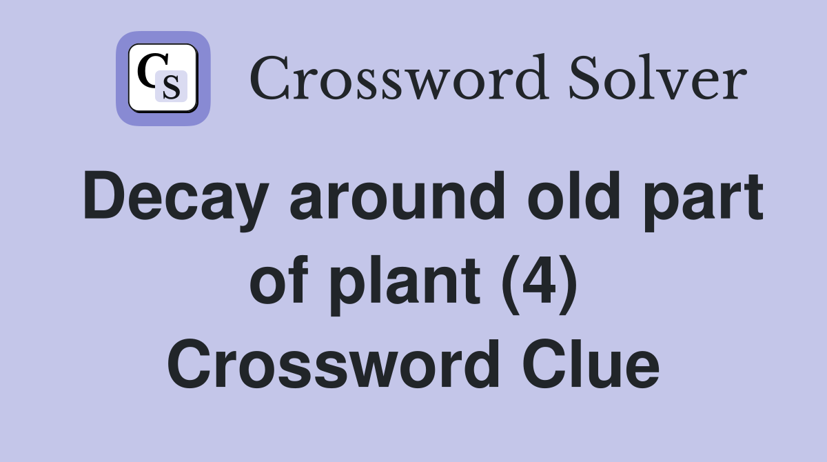 Decay around old part of plant (4) Crossword Clue