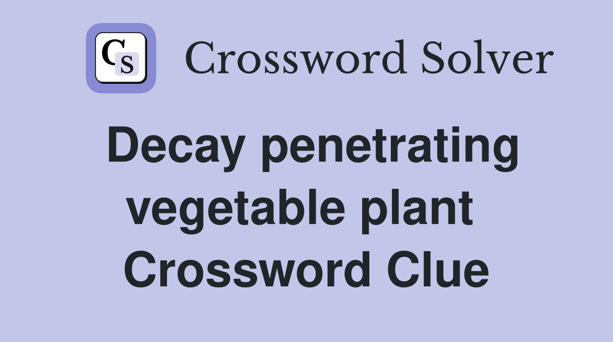 Decay penetrating vegetable plant  Crossword Clue