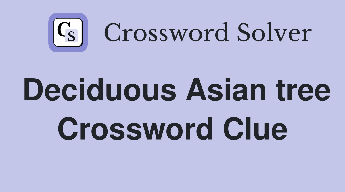 Deciduous Asian tree Crossword Clue