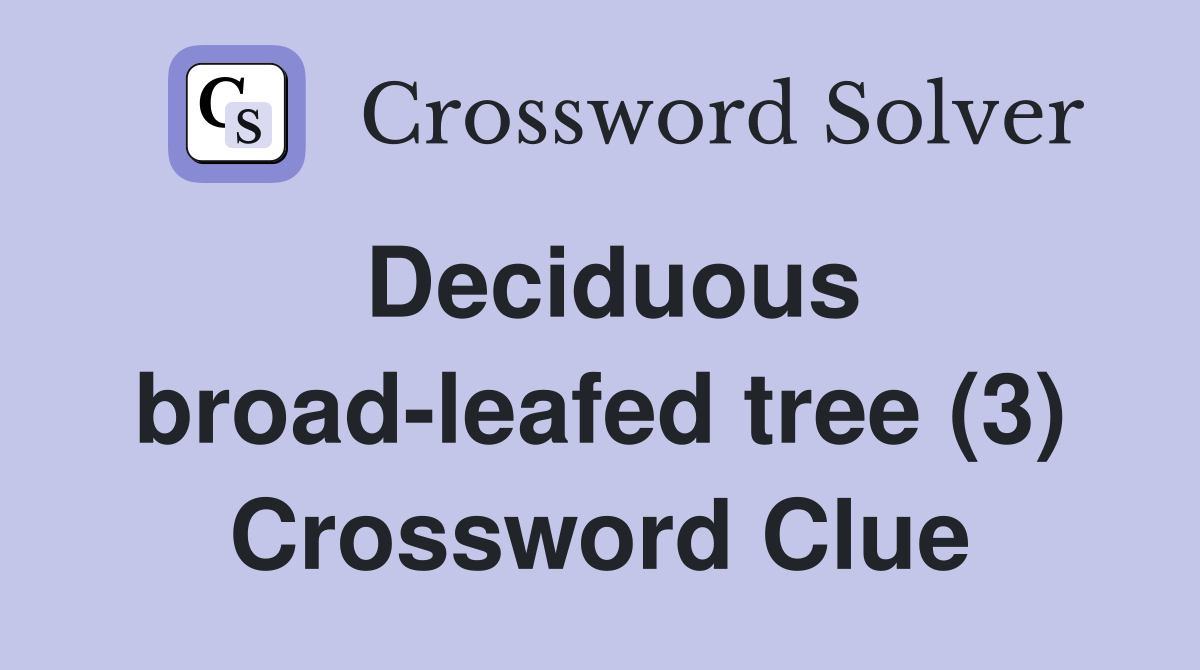 Deciduous broad-leafed tree (3) Crossword Clue