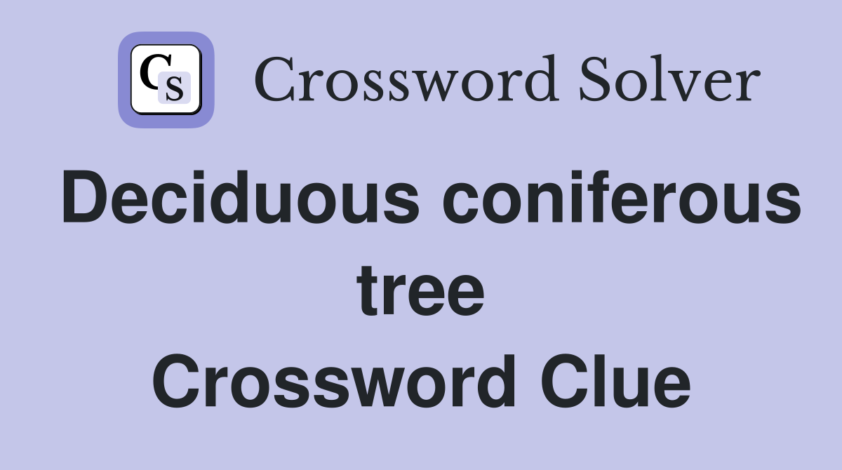 Deciduous coniferous tree Crossword Clue