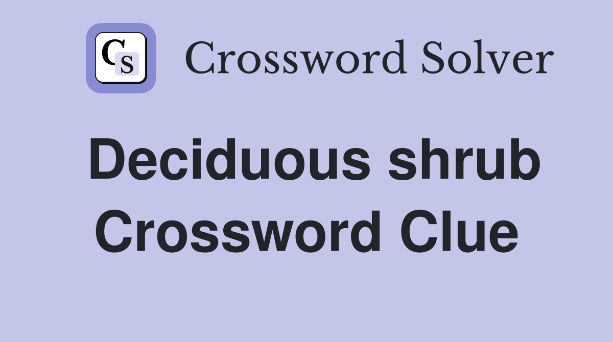 Deciduous shrub Crossword Clue