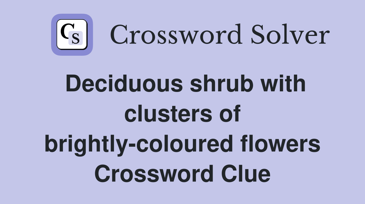 Deciduous shrub with clusters of brightly-coloured flowers Crossword Clue