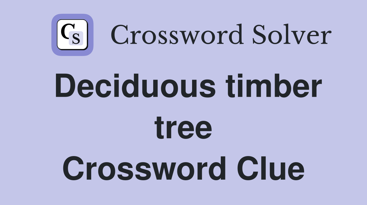 Deciduous timber tree Crossword Clue
