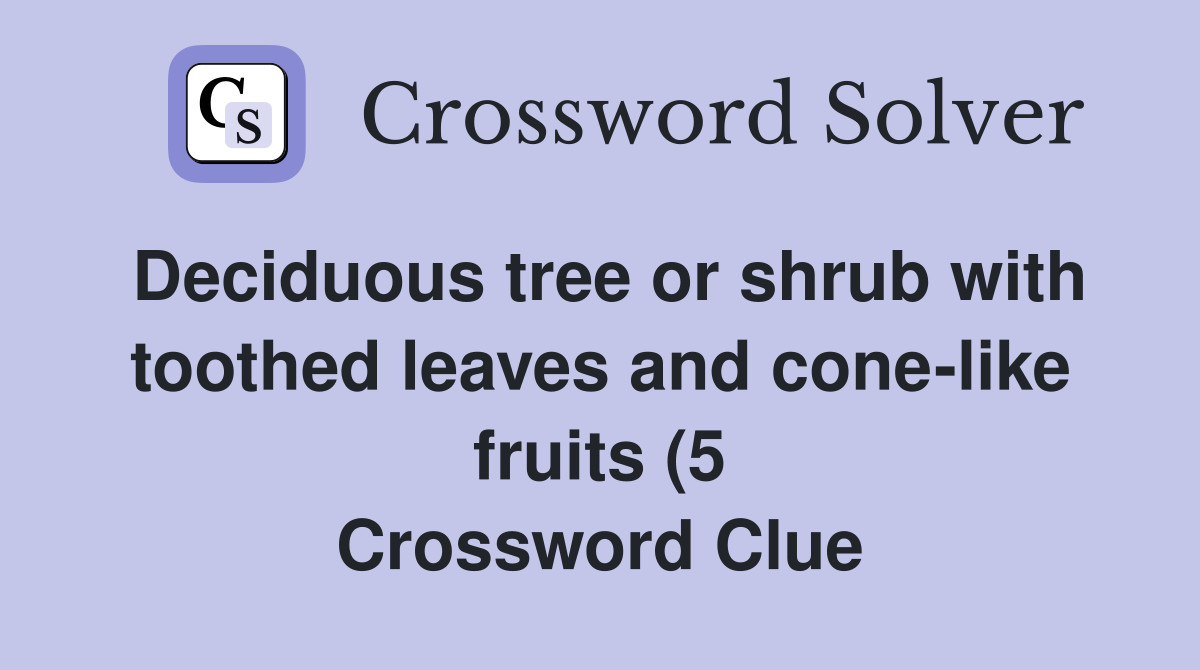 Deciduous tree or shrub with toothed leaves and cone like fruits (5 Deciduous tree or shrub with toothed leaves and cone like fruits (5