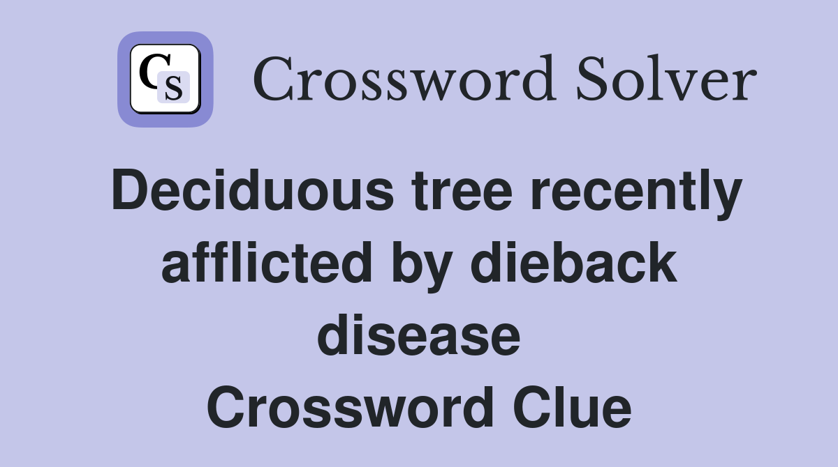 Deciduous tree recently afflicted by dieback disease Crossword Clue