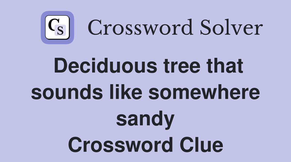 Deciduous tree that sounds like somewhere sandy Crossword Clue