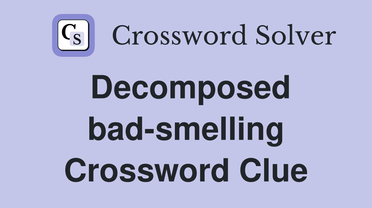 Decomposed bad-smelling Crossword Clue
