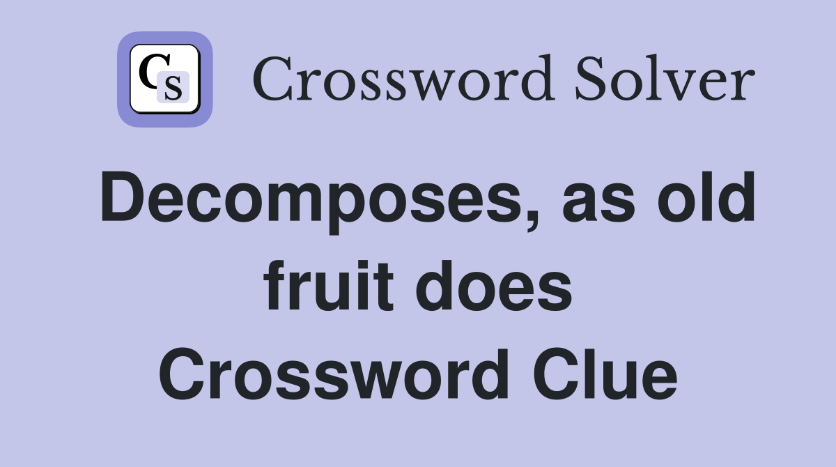 Decomposes, as old fruit does Crossword Clue