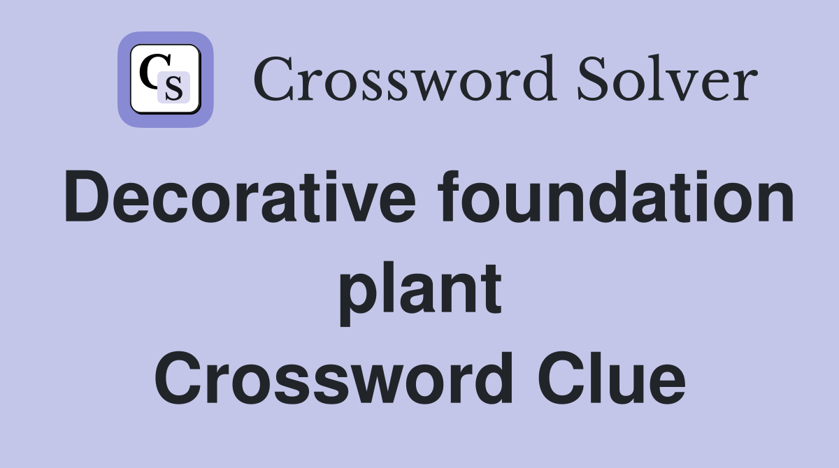 Decorative foundation plant Crossword Clue