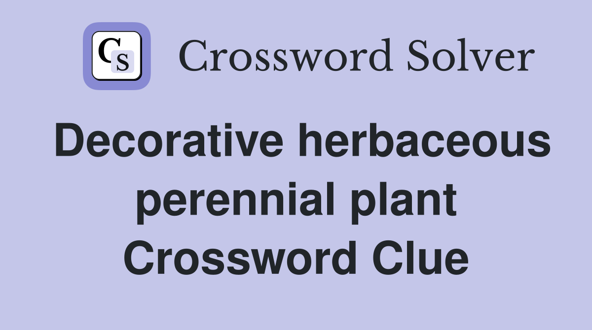Decorative herbaceous perennial plant Crossword Clue