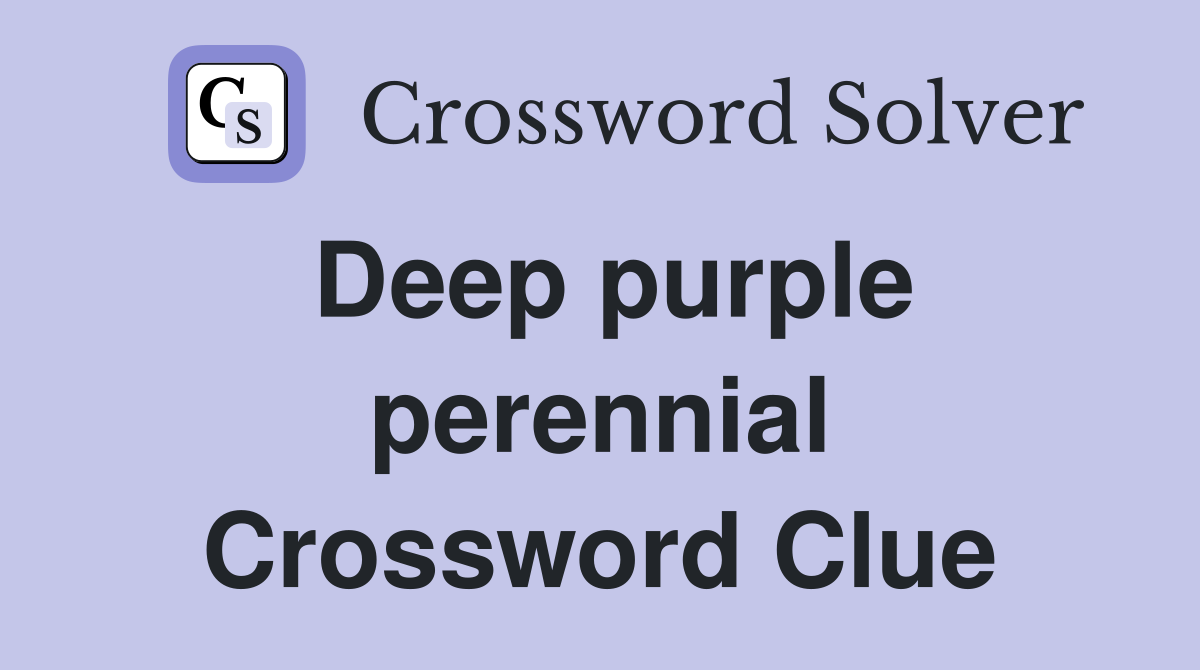 Deep purple perennial Crossword Clue