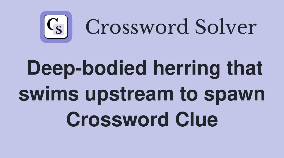 Deep-bodied herring that swims upstream to spawn Crossword Clue