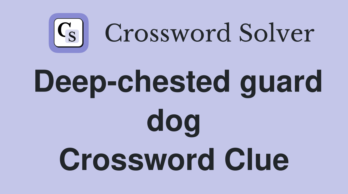 Deep-chested guard dog Crossword Clue
