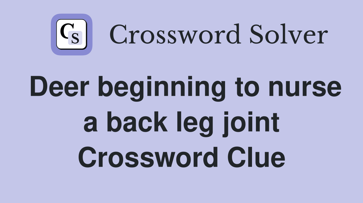 Deer beginning to nurse a back leg joint Crossword Clue
