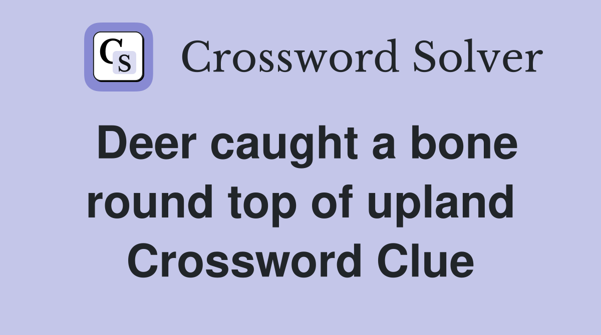 Deer caught a bone round top of upland Crossword Clue