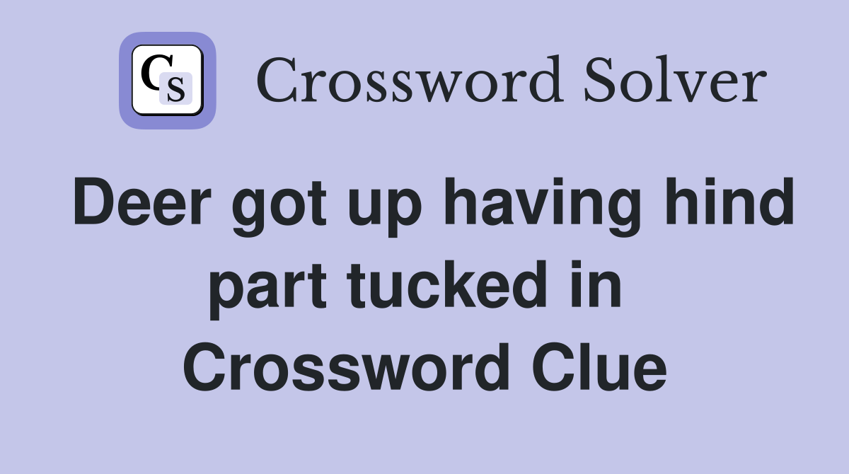 Deer got up having hind part tucked in  Crossword Clue