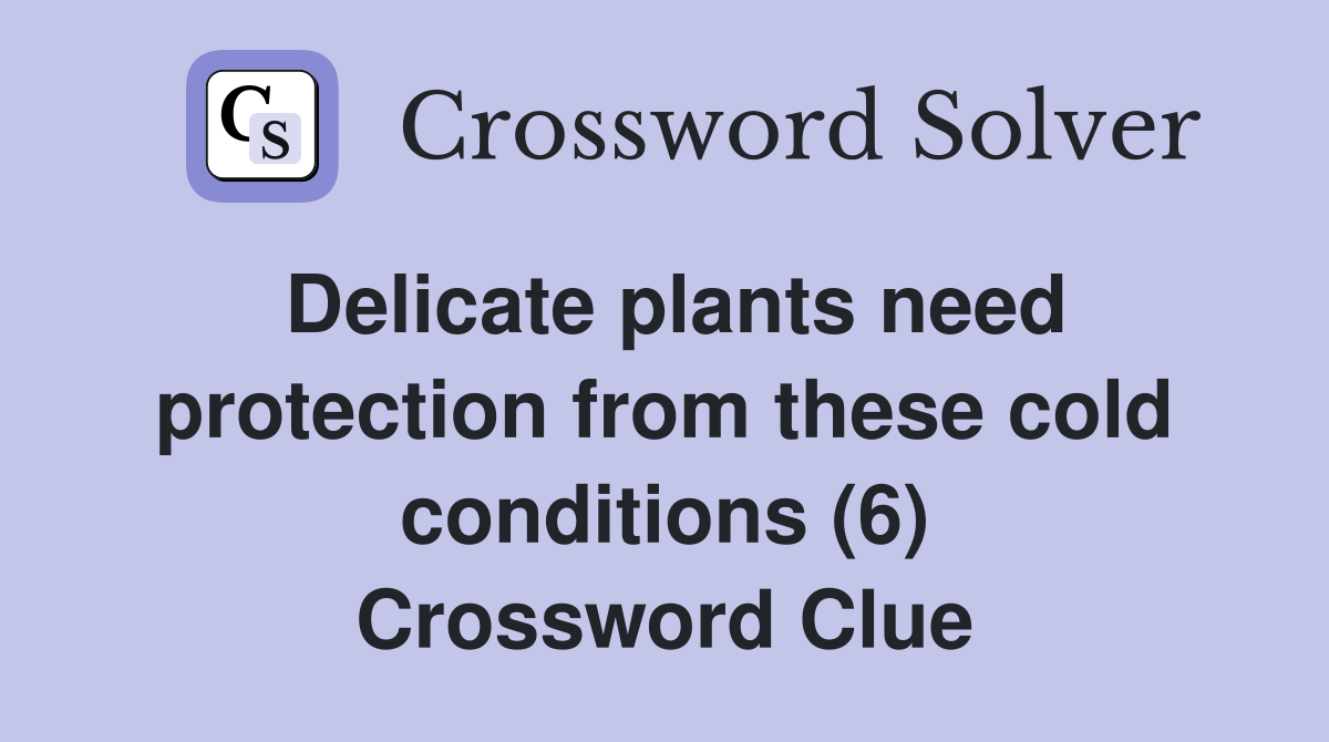 Delicate plants need protection from these cold conditions (6) Crossword Clue