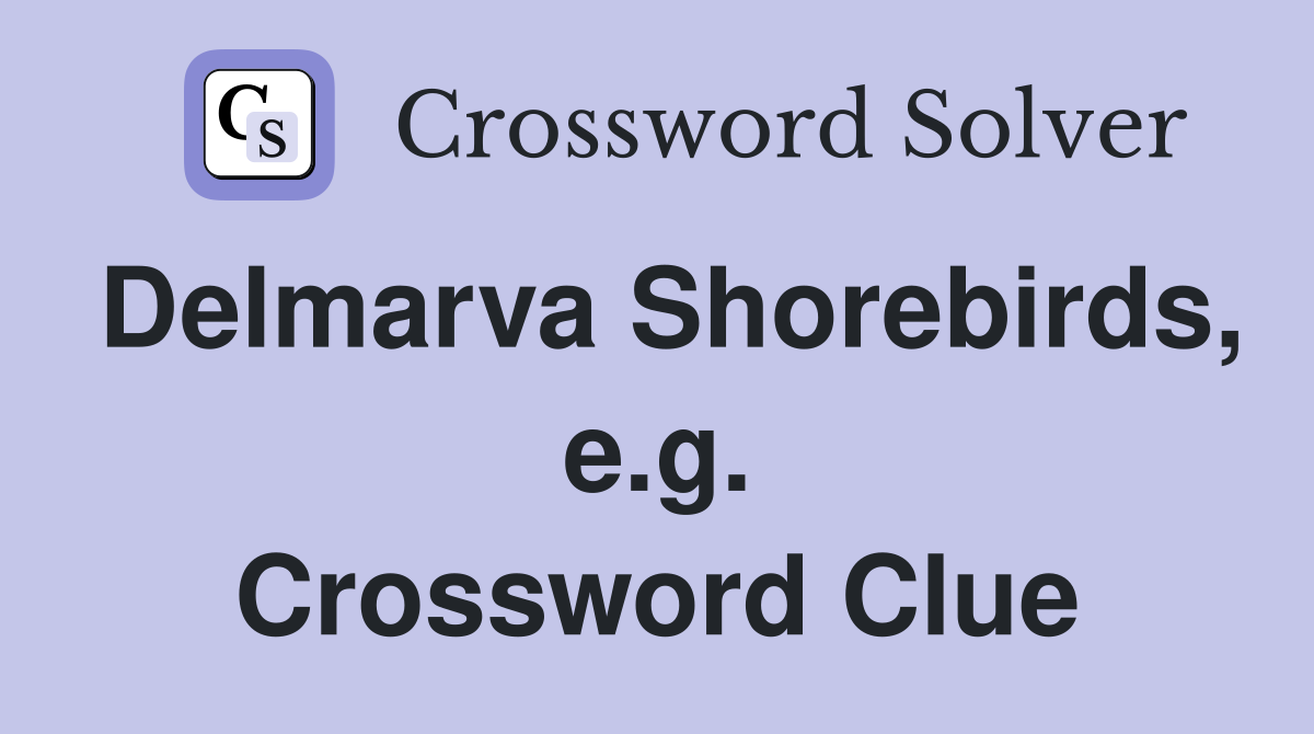 Delmarva Shorebirds, e.g. Crossword Clue