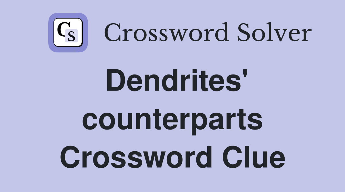 Dendrites' counterparts Crossword Clue