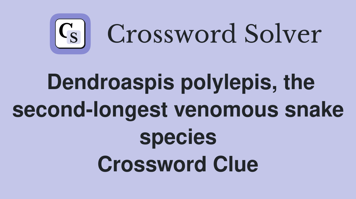 Dendroaspis polylepis, the second-longest venomous snake species Crossword Clue