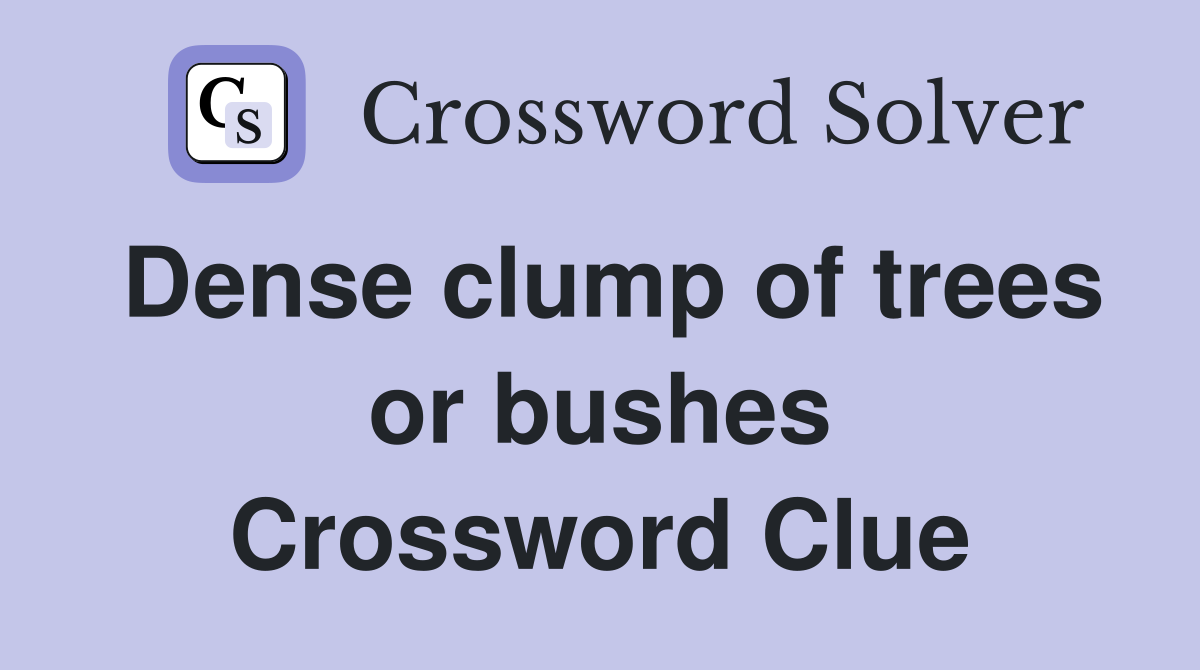 Dense clump of trees or bushes Crossword Clue