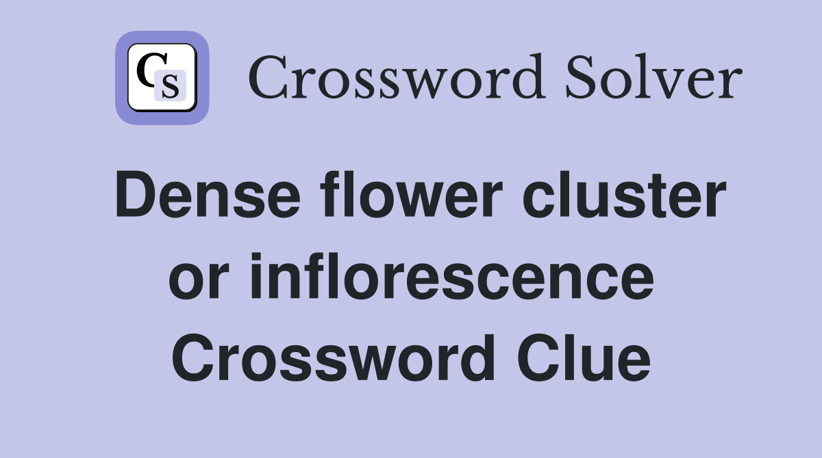 Dense flower cluster or inflorescence Crossword Clue