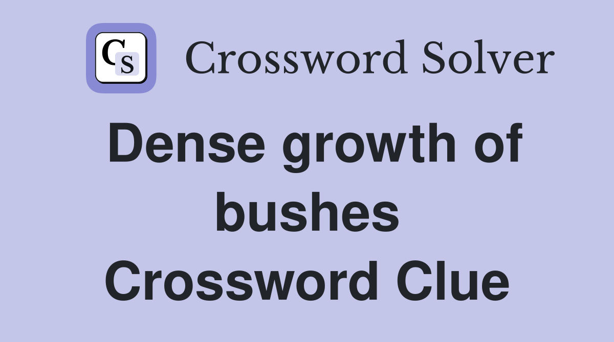 Dense growth of bushes Crossword Clue