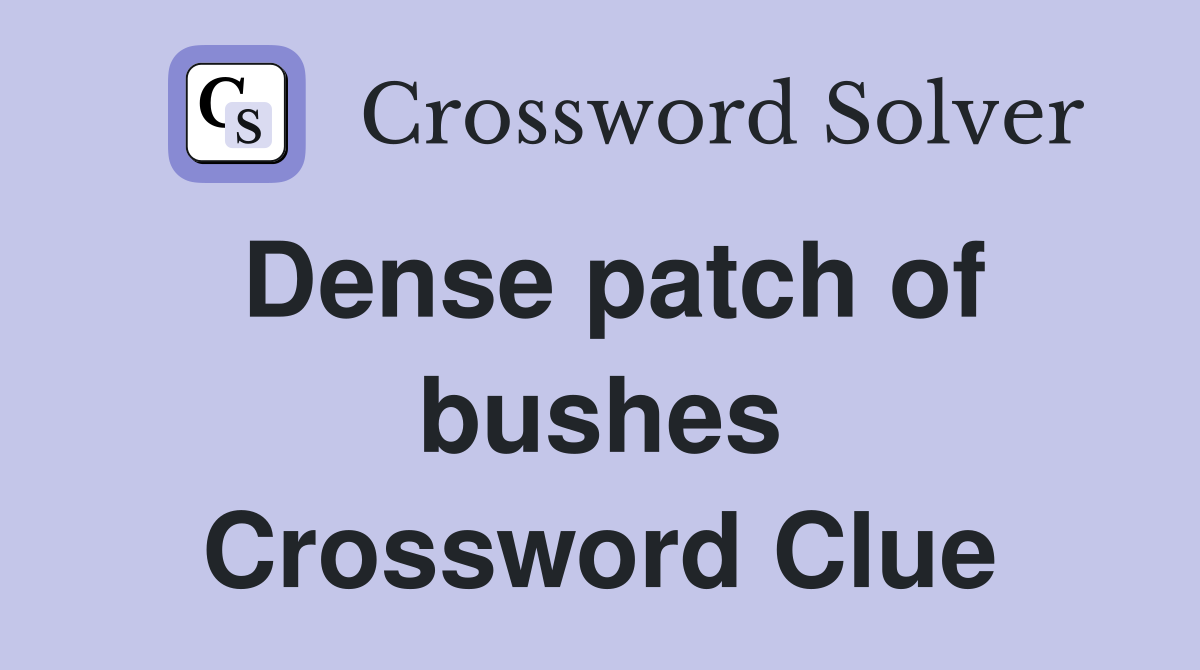 Dense patch of bushes Crossword Clue
