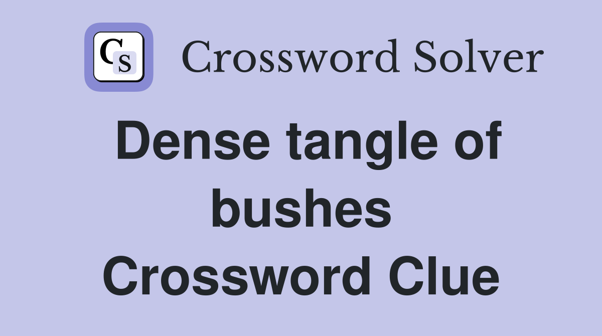 Dense tangle of bushes Crossword Clue
