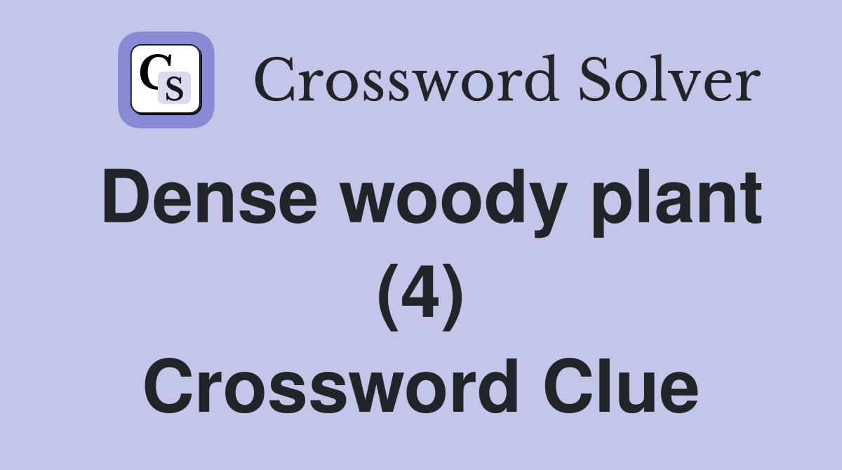 Dense woody plant (4) Crossword Clue