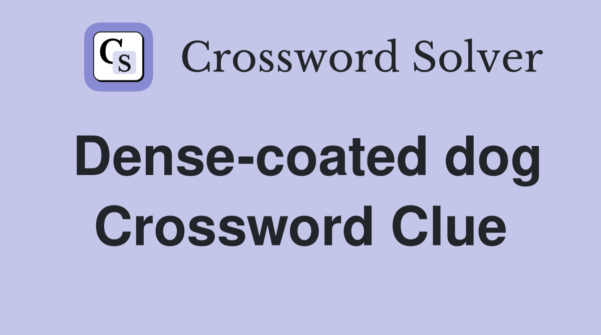 Dense-coated dog Crossword Clue