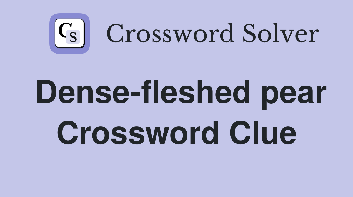 Dense-fleshed pear Crossword Clue